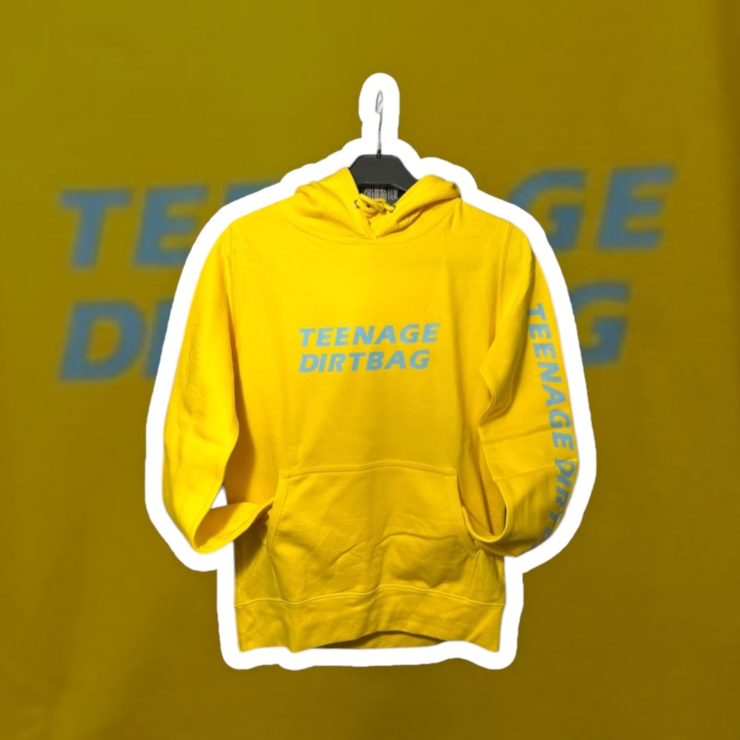 Womens Wheatus Teenage Dirtbag band hoodie